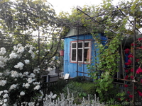 Дачный участок, черта города, Коммунаровский район. - <ro>Изображение</ro><ru>Изображение</ru> #6, <ru>Объявление</ru> #1542802