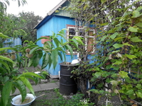 Дачный участок, черта города, Коммунаровский район. - <ro>Изображение</ro><ru>Изображение</ru> #2, <ru>Объявление</ru> #1542802