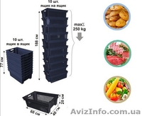 Пластиковый ящик для овощей купить в Запорожье,  - <ro>Изображение</ro><ru>Изображение</ru> #2, <ru>Объявление</ru> #1573465