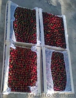 Разные сорта Черешни, Абрикос ОПТ от 1тонны - <ro>Изображение</ro><ru>Изображение</ru> #3, <ru>Объявление</ru> #1624119