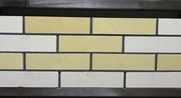 Кирпич облицовочный гиперпрессованный полнотелый «Цегла» - <ro>Изображение</ro><ru>Изображение</ru> #1, <ru>Объявление</ru> #1685227
