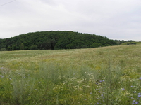 Объект на продажу под Киевом 30 мин. в сторону Обухова, Старые Безрадичи - <ro>Изображение</ro><ru>Изображение</ru> #3, <ru>Объявление</ru> #1684940