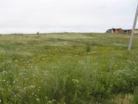 Объект на продажу под Киевом 30 мин. в сторону Обухова, Старые Безрадичи - <ro>Изображение</ro><ru>Изображение</ru> #5, <ru>Объявление</ru> #1684940