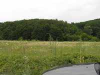 Объект на продажу под Киевом 30 мин. в сторону Обухова, Старые Безрадичи - <ro>Изображение</ro><ru>Изображение</ru> #9, <ru>Объявление</ru> #1684940