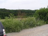 Объект на продажу под Киевом 30 мин. в сторону Обухова, Старые Безрадичи - <ro>Изображение</ro><ru>Изображение</ru> #10, <ru>Объявление</ru> #1684940