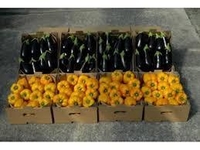 Картонный лоток под овощи по оптовым ценам  - <ro>Изображение</ro><ru>Изображение</ru> #1, <ru>Объявление</ru> #1689329