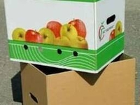 Бушель под яблоко  от производителя  - <ro>Изображение</ro><ru>Изображение</ru> #3, <ru>Объявление</ru> #1689331