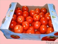 Картонный лоток под овощи по оптовым ценам  - <ro>Изображение</ro><ru>Изображение</ru> #5, <ru>Объявление</ru> #1689329