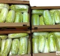 Картонная тара ,картонный лоток,картонная упаковка  - <ro>Изображение</ro><ru>Изображение</ru> #3, <ru>Объявление</ru> #1691995