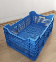 Пищевые хозяйственные пластиковые ящики мяса молока рыбы ягод овощей в Запорожье - <ro>Изображение</ro><ru>Изображение</ru> #4, <ru>Объявление</ru> #1707784