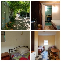 Продам бизнес в Кирилловке от собственника - <ro>Изображение</ro><ru>Изображение</ru> #2, <ru>Объявление</ru> #1713583