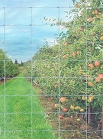 Сетка металлическая Казачка облегченная - <ro>Изображение</ro><ru>Изображение</ru> #2, <ru>Объявление</ru> #1711775