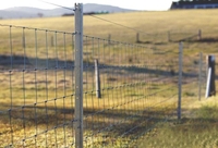 Сетка металлическая Казачка облегченная - <ro>Изображение</ro><ru>Изображение</ru> #1, <ru>Объявление</ru> #1711775