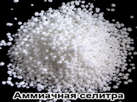 Селитра аммиачная.Минеральное Гранулы Азотное Удобрение Опт Grupa Azoty Польша - <ro>Изображение</ro><ru>Изображение</ru> #2, <ru>Объявление</ru> #1714736