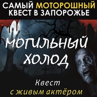 Квесты Запорожье для детей, для взрослых, хоррор с актером - <ro>Изображение</ro><ru>Изображение</ru> #4, <ru>Объявление</ru> #1717283