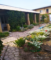 Продам дачу на Азовском море - <ro>Изображение</ro><ru>Изображение</ru> #4, <ru>Объявление</ru> #1720777