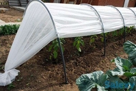 Продам дачу на Азовском море - <ro>Изображение</ro><ru>Изображение</ru> #10, <ru>Объявление</ru> #1720777