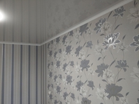 Качественная поклейка обоев и отделка. - <ro>Изображение</ro><ru>Изображение</ru> #3, <ru>Объявление</ru> #1098839