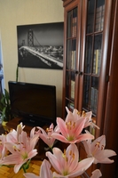 Сдам посуточно - почасово квартиры и дома в любом районе г. Запорожья  - <ro>Изображение</ro><ru>Изображение</ru> #2, <ru>Объявление</ru> #1165047