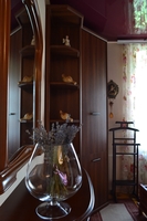 Сдам посуточно - почасово квартиры и дома в любом районе г. Запорожья  - <ro>Изображение</ro><ru>Изображение</ru> #4, <ru>Объявление</ru> #1165047