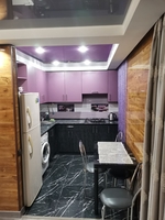 Сдам посуточно - почасово квартиры и дома в Запорожье - <ro>Изображение</ro><ru>Изображение</ru> #2, <ru>Объявление</ru> #478882