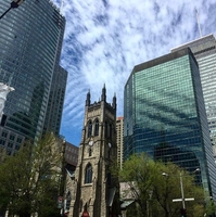 На сегодняшний день самым привлекательным направлением для иммиграции - <ro>Изображение</ro><ru>Изображение</ru> #2, <ru>Объявление</ru> #1071533