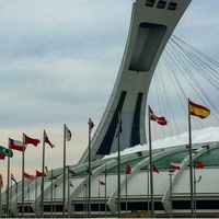 На сегодняшний день самым привлекательным направлением для иммиграции - <ro>Изображение</ro><ru>Изображение</ru> #1, <ru>Объявление</ru> #1071533