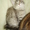 Мейн кун-ские коты-необычайной красоты - <ro>Изображение</ro><ru>Изображение</ru> #4, <ru>Объявление</ru> #23483