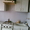 продаю 1-к.кв.с дачным уч,мебелью в г.Орехове Запорожской обл. - <ro>Изображение</ro><ru>Изображение</ru> #3, <ru>Объявление</ru> #4700