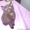 Шотландские короткошерстные котята-страйты - <ro>Изображение</ro><ru>Изображение</ru> #3, <ru>Объявление</ru> #4093