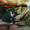 Котята дон сфинкс - <ro>Изображение</ro><ru>Изображение</ru> #4, <ru>Объявление</ru> #106689