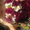 Цветы Запорожья свадебные букеты, ёжики, мишки, совы, куклы #280676