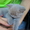 Продам котят.шотландская прямоухая, 1,5мес - <ro>Изображение</ro><ru>Изображение</ru> #2, <ru>Объявление</ru> #331887