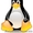 Установка Windows, Linux в Запорожье - <ro>Изображение</ro><ru>Изображение</ru> #1, <ru>Объявление</ru> #399552