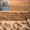  крымский ракушняк  - <ro>Изображение</ro><ru>Изображение</ru> #1, <ru>Объявление</ru> #438942
