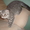 Шотландский вислоухий котик - <ro>Изображение</ro><ru>Изображение</ru> #3, <ru>Объявление</ru> #471293