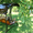 Эксклюзивные садовые качели для души! - <ro>Изображение</ro><ru>Изображение</ru> #3, <ru>Объявление</ru> #425715