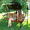 Эксклюзивные садовые качели для души! - <ro>Изображение</ro><ru>Изображение</ru> #5, <ru>Объявление</ru> #425715