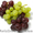 Продам саженцы винограда элитных сортов от 15 грн./шт. #532162