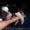 Китайская Хохлатая собачка - <ro>Изображение</ro><ru>Изображение</ru> #5, <ru>Объявление</ru> #537097