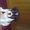Замечательные щенки французского бульдога - <ro>Изображение</ro><ru>Изображение</ru> #2, <ru>Объявление</ru> #605490