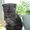 Прекрасные Шотландские Вислоухие Котята - <ro>Изображение</ro><ru>Изображение</ru> #3, <ru>Объявление</ru> #655722