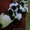 Фокстерьер щенки - <ro>Изображение</ro><ru>Изображение</ru> #1, <ru>Объявление</ru> #83360