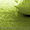 Ковролин, ковровое покрытие, купить ковролин - <ro>Изображение</ro><ru>Изображение</ru> #3, <ru>Объявление</ru> #798840