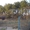 Дачный уч-к 7.2сот. на берегу Днепра в сосновом лесу. - <ro>Изображение</ro><ru>Изображение</ru> #1, <ru>Объявление</ru> #843093