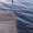 Береговые лестницы, рельсовые системы для лодок,ворота,вольеры. - <ro>Изображение</ro><ru>Изображение</ru> #8, <ru>Объявление</ru> #835970