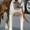 Продам отличных щенков стаффордширского терьера, - <ro>Изображение</ro><ru>Изображение</ru> #2, <ru>Объявление</ru> #818955
