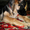 Подрощенные щенки немецкой овчарки из питомника  - <ro>Изображение</ro><ru>Изображение</ru> #3, <ru>Объявление</ru> #924696
