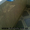 Внутренняя обшивка балконов в Запорожье - <ro>Изображение</ro><ru>Изображение</ru> #2, <ru>Объявление</ru> #949066