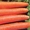 морковь сорта Витаминная #950824